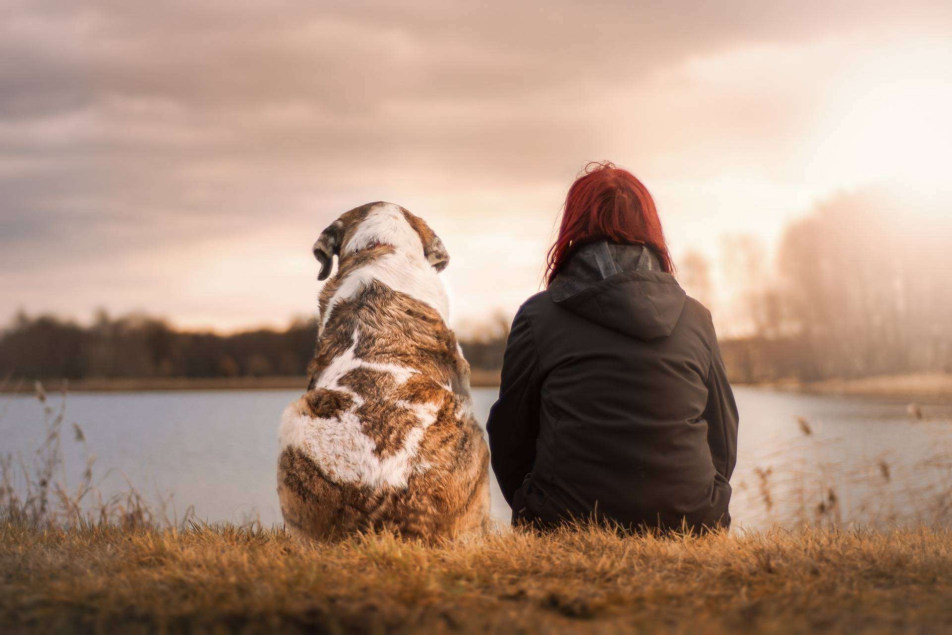 Acabar con la infelicidad laboral de la mano de El Perro Feliz