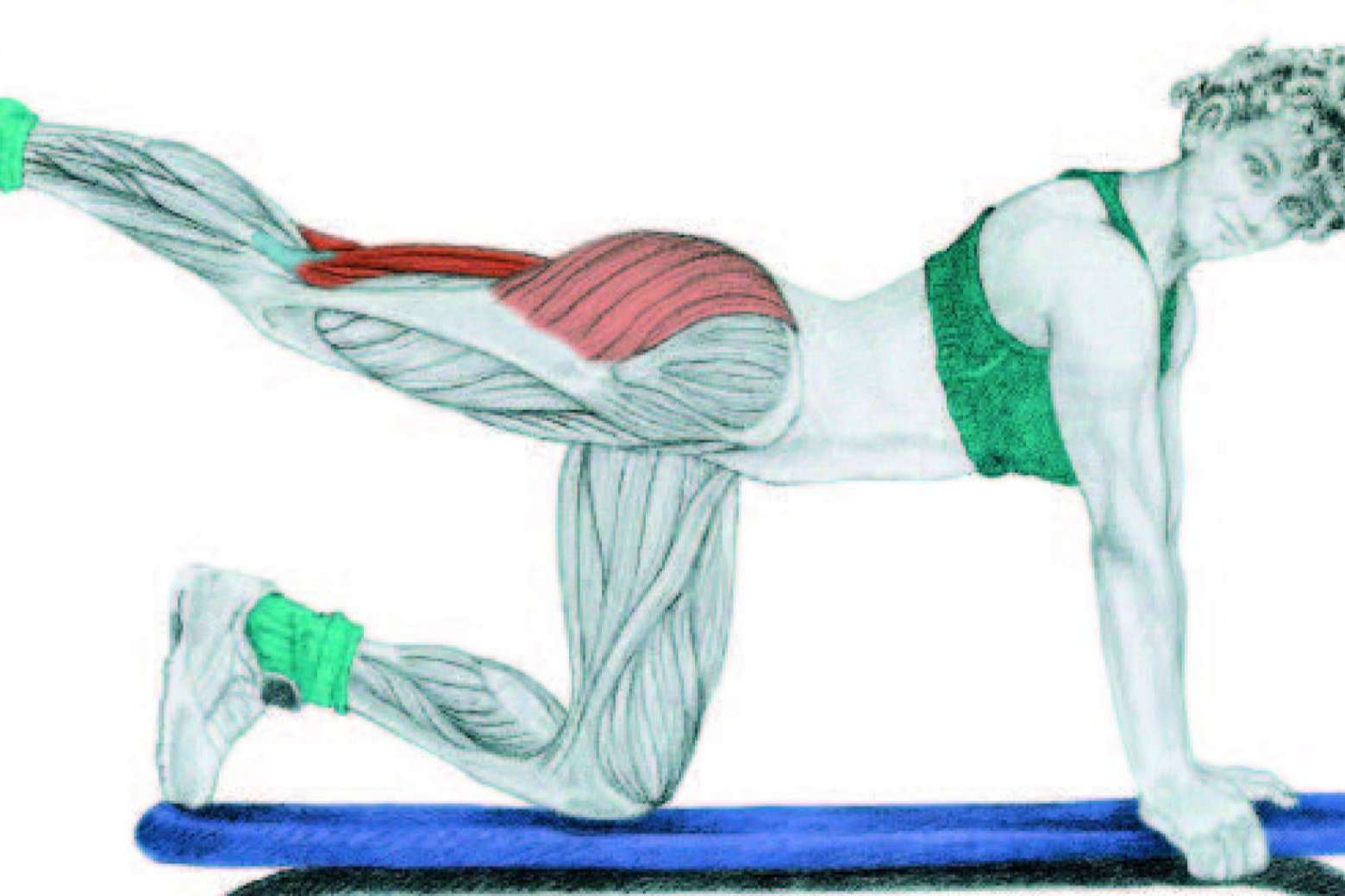 Los beneficios del Manual de Entrenamiento GAP; Glúteos, Abdomen, Piernas de Óscar Morán