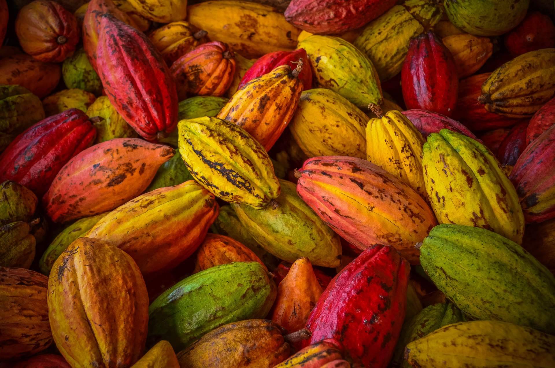 La historia de una fruta como el cacao, de método de pago a token