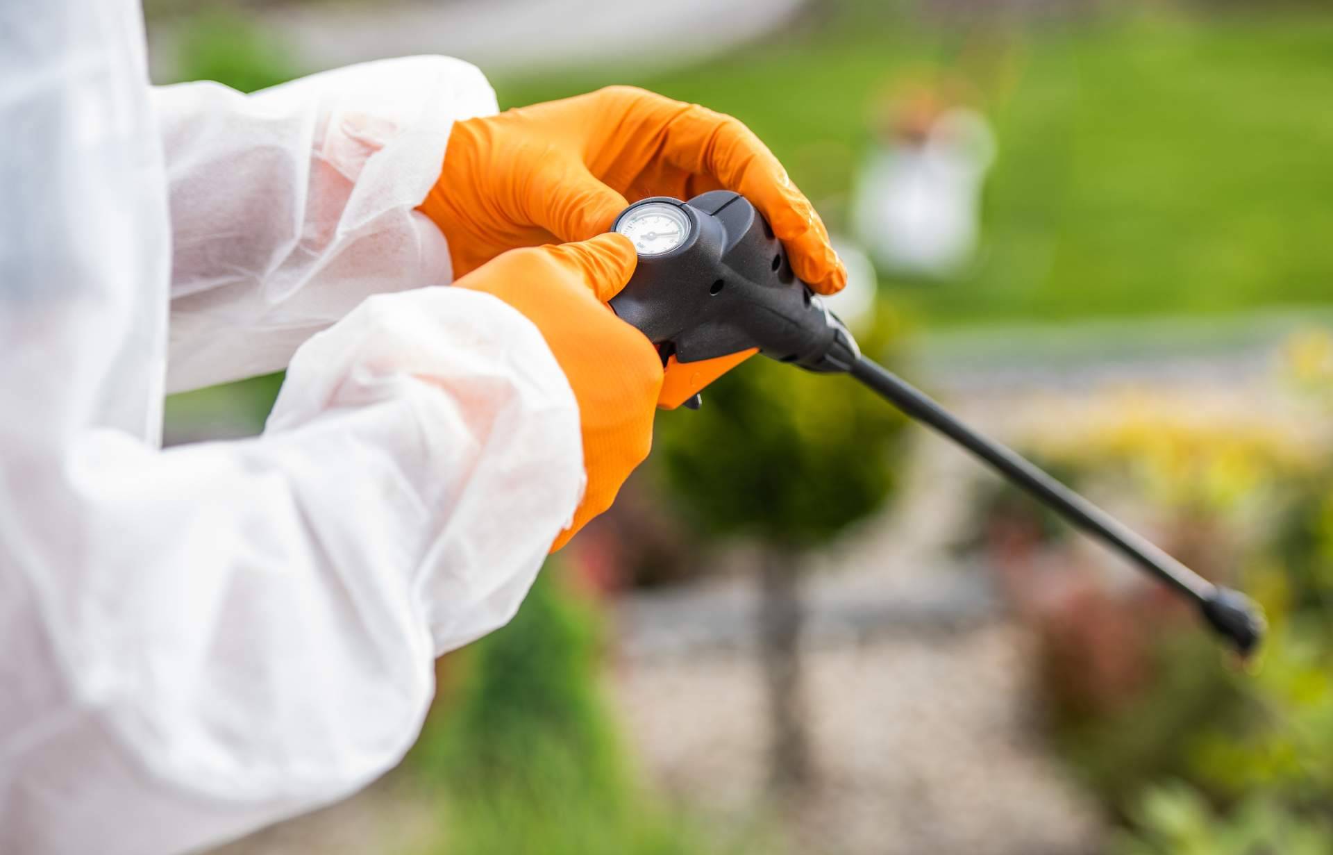 Las diferentes trampas e insecticidas para avispas disponibles en Productos Antiplagas