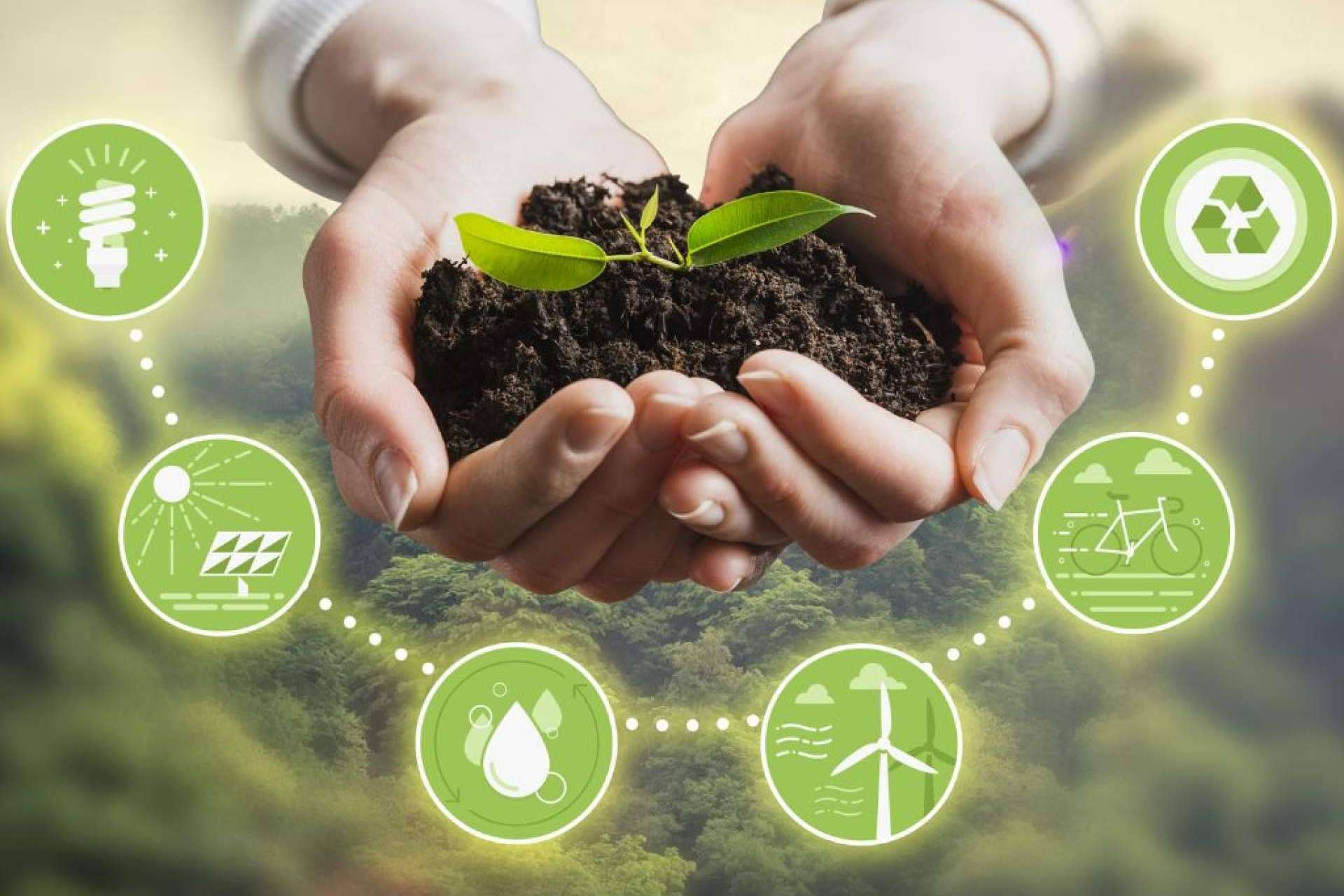 Convertir proyectos sociales latinoamericanos en empresas sociales con proyección en Europa de la mano de la ONG Share to Change