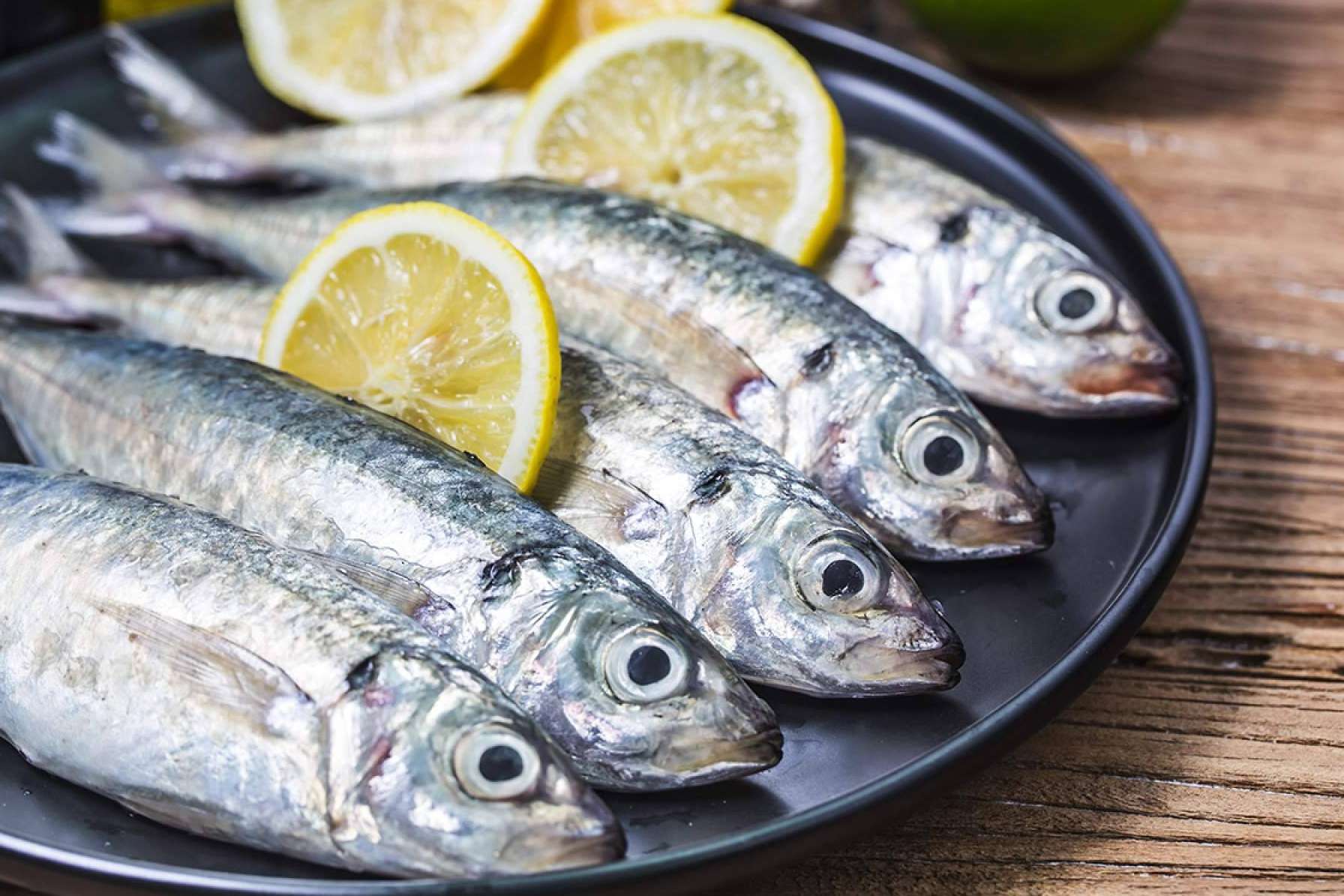 Las últimas novedades del pescado de lonja de Lonja de Ayamonte