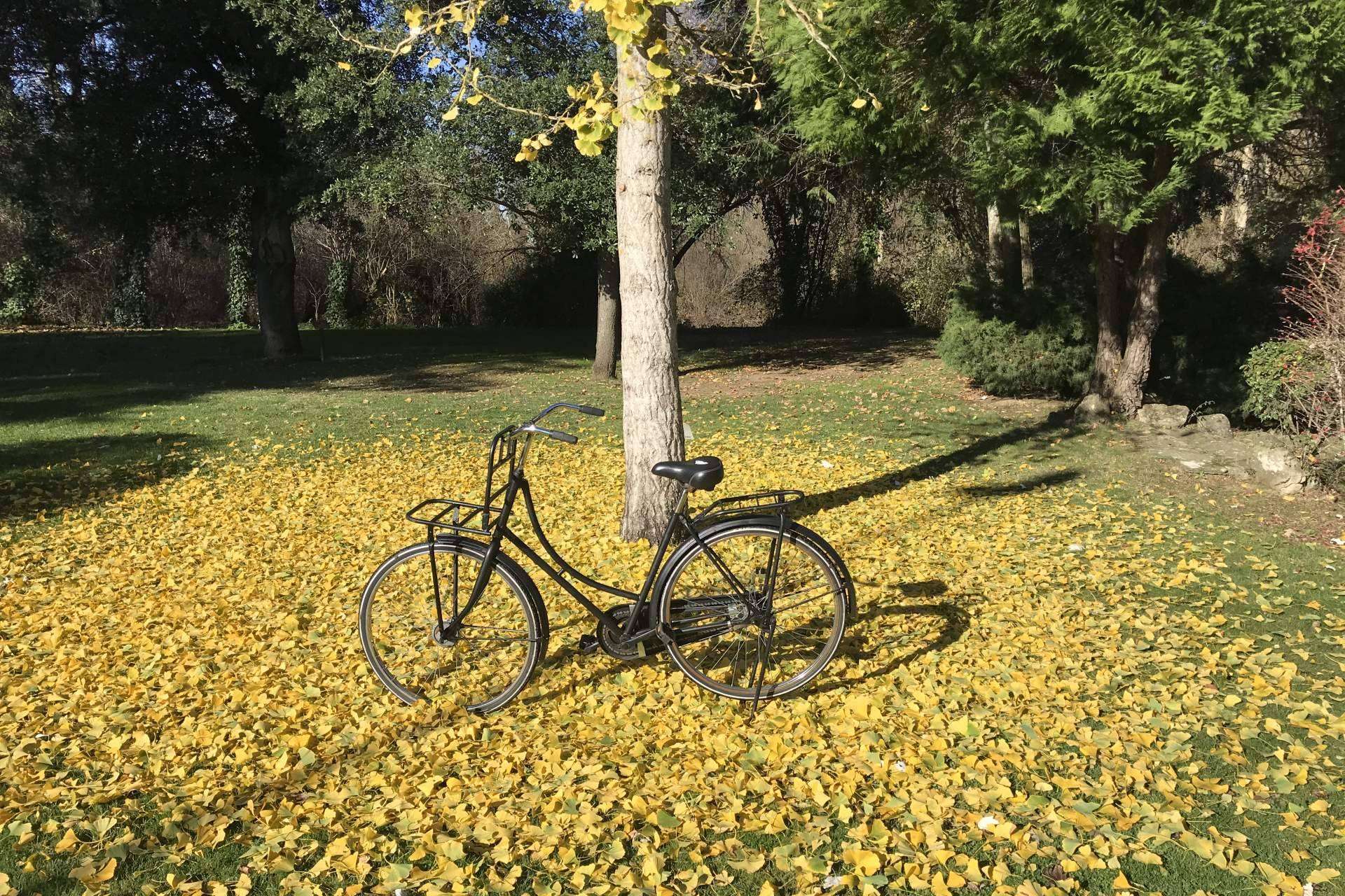 Bicis holandesas de segunda mano con ¡Quiero una bici!