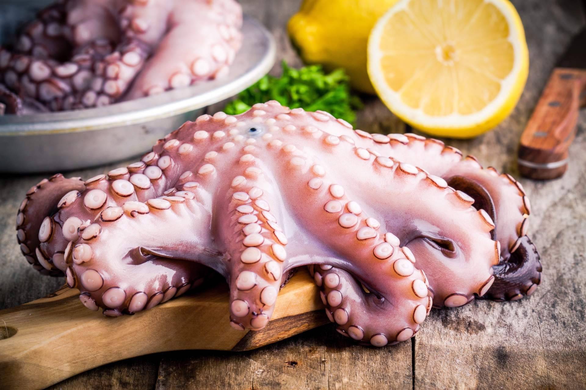 3 de Pulpo acerca de las propiedades del pulpo de Dakhla