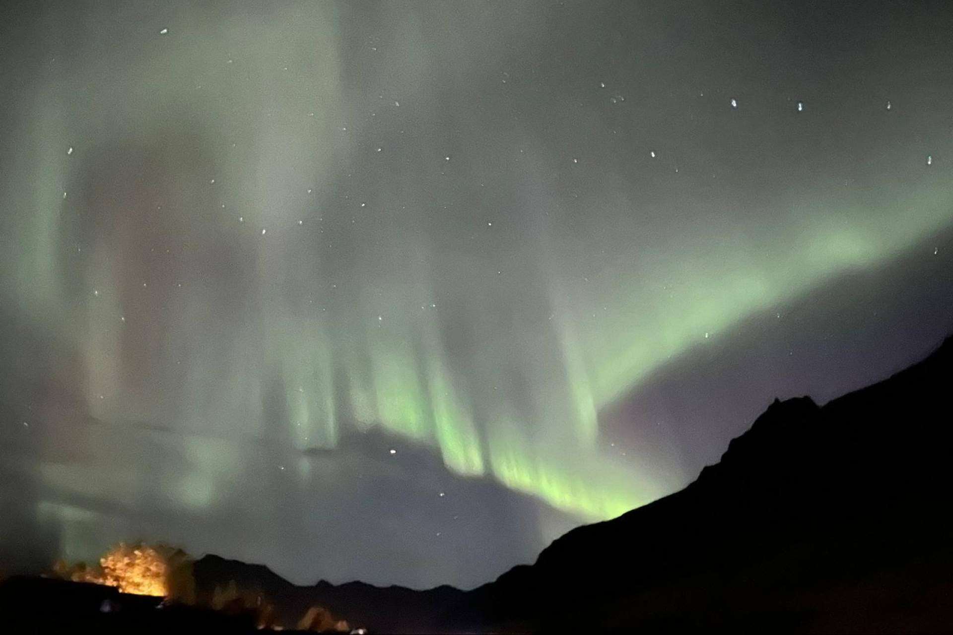 El tour de Aurora Boreal y del invierno Islandés de Aldu Experience