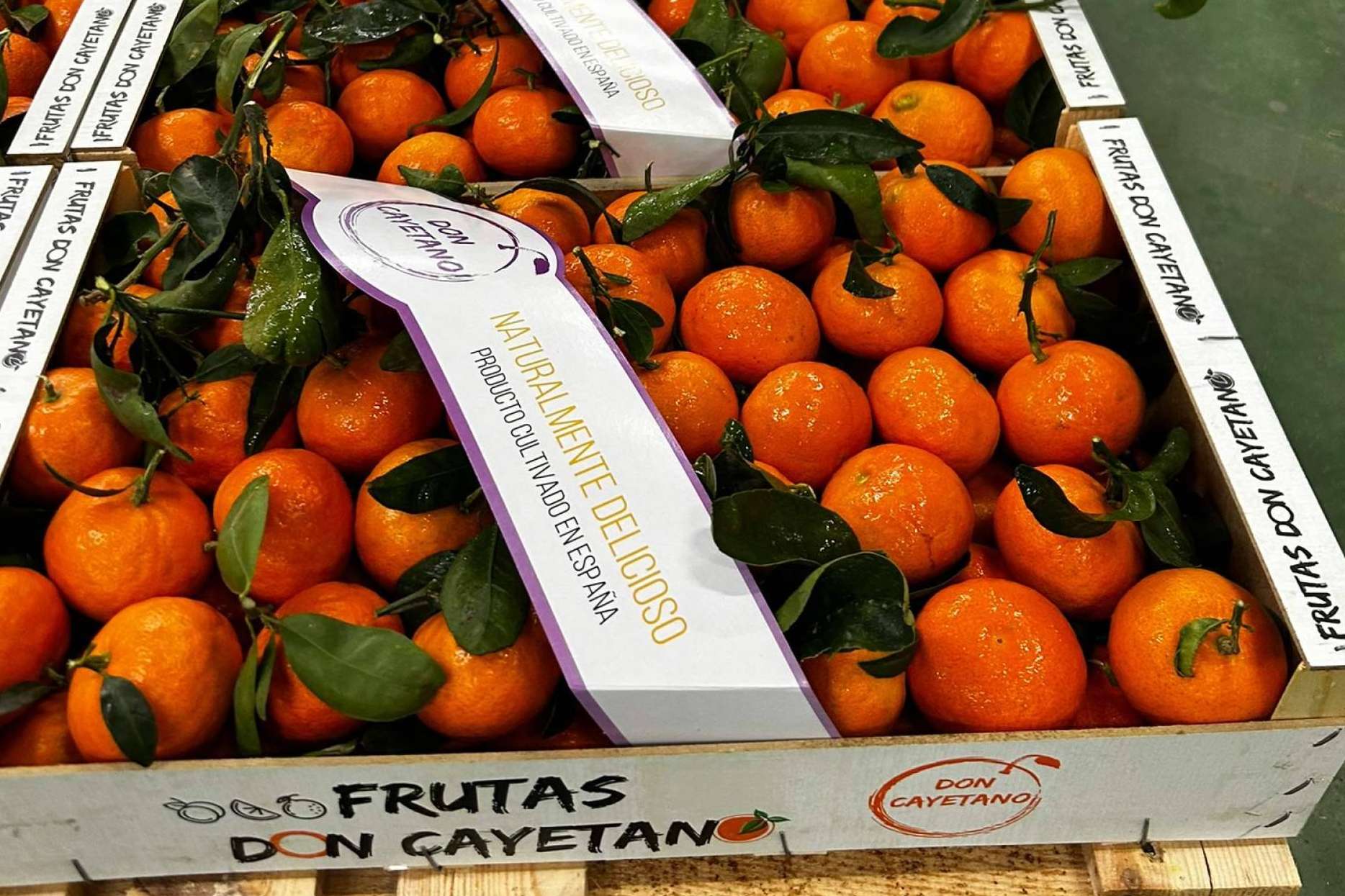 Se acerca la campaña de fruta de hueso, de la mano de Frutas Don Cayetano
