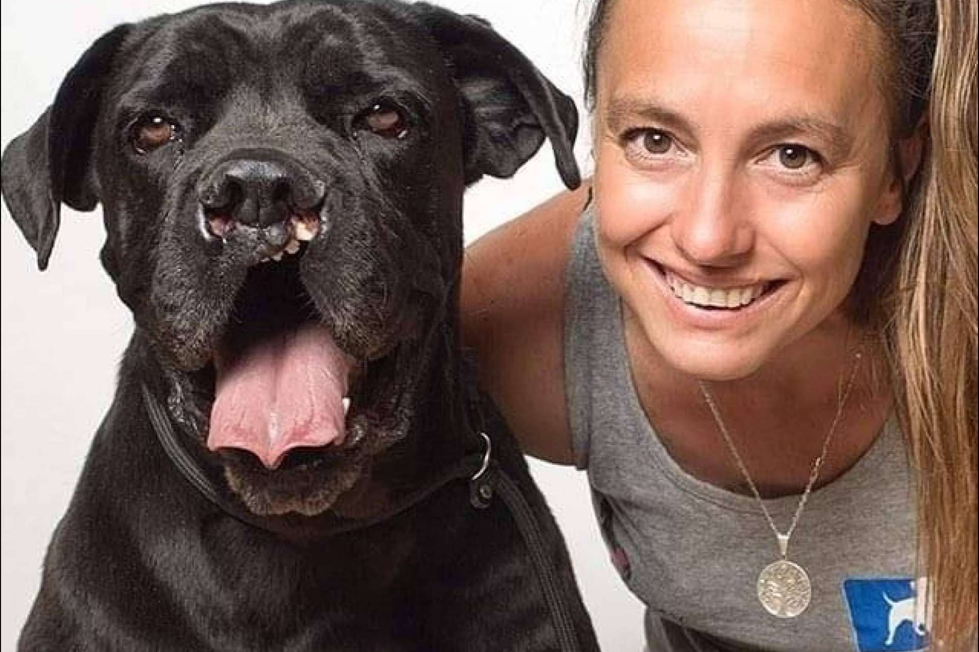PERROBUENO, las ventajas de una guardería de perros que utiliza un método sin jaulas