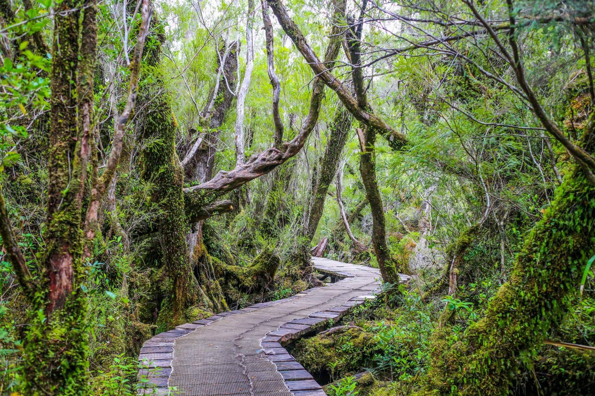 El desarrollo la isla más grande al sur de Chile, Chiloé