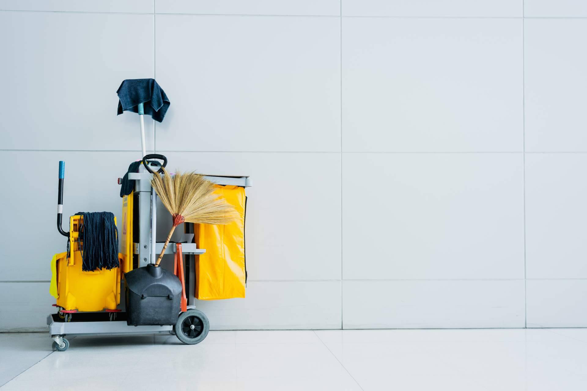 Especialistas en limpieza a domicilio en Barcelona, EcoCleans
