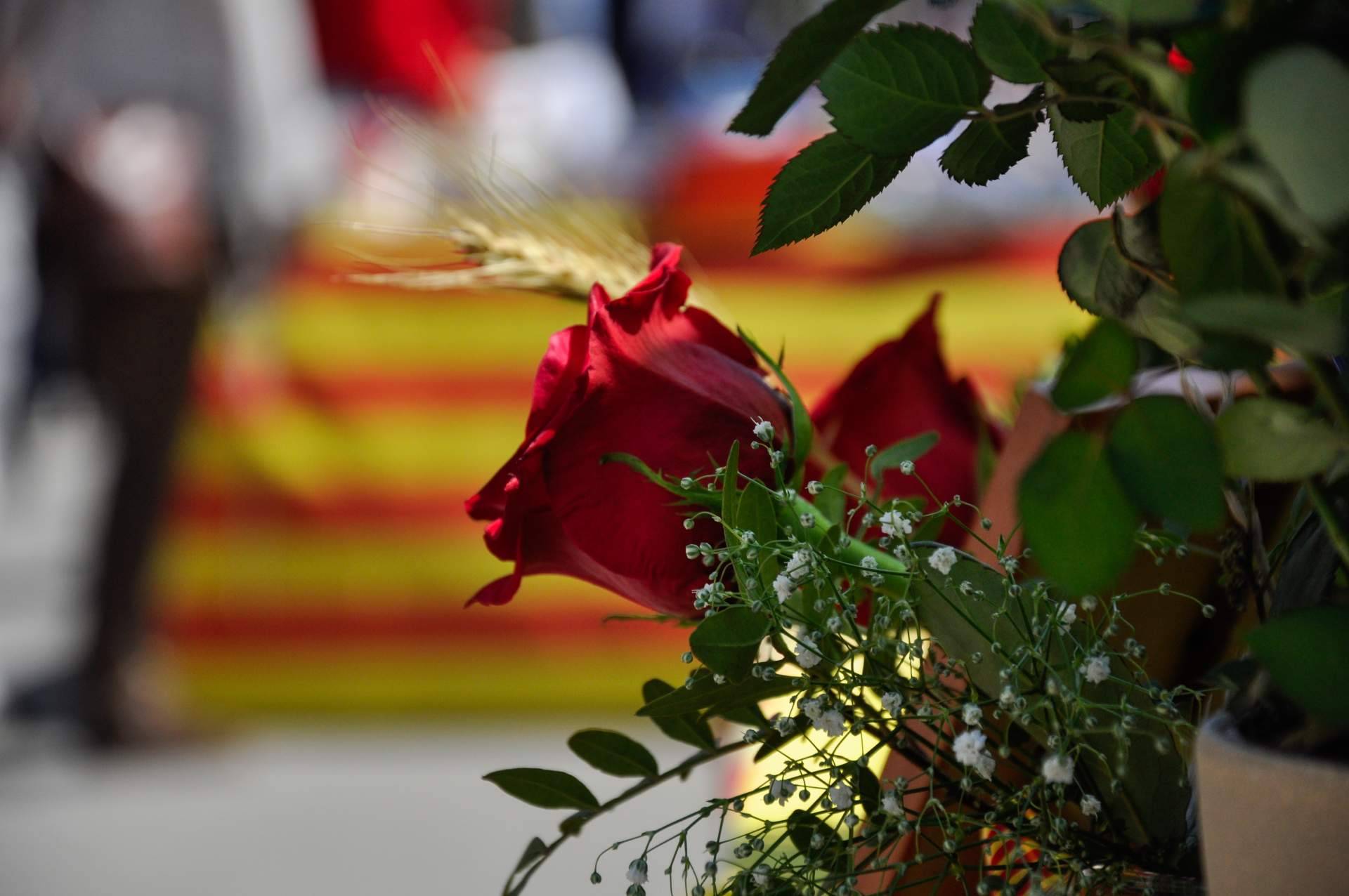 La tradición catalana de las rosas y los libros en Sant Jordi