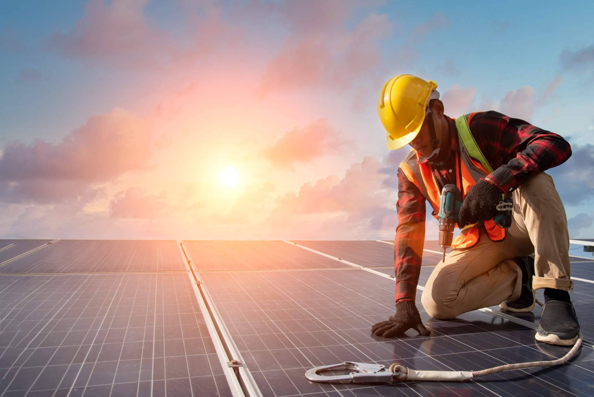 Los beneficios de la instalación de paneles fotovoltaicos en industrias agroalimentarias, con Zerinthia Battery