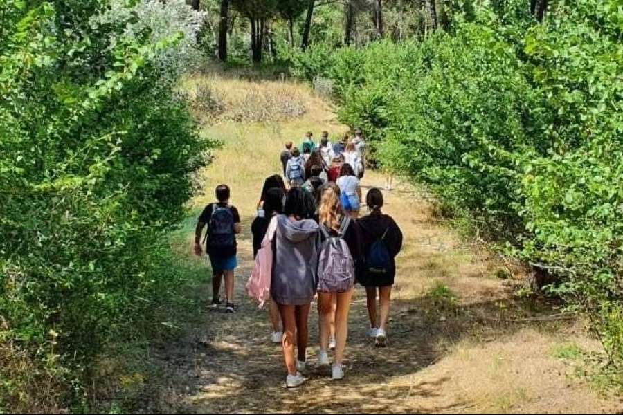 Todo lo que se debe saber sobre los campamentos de verano 2023 de Aula Joven