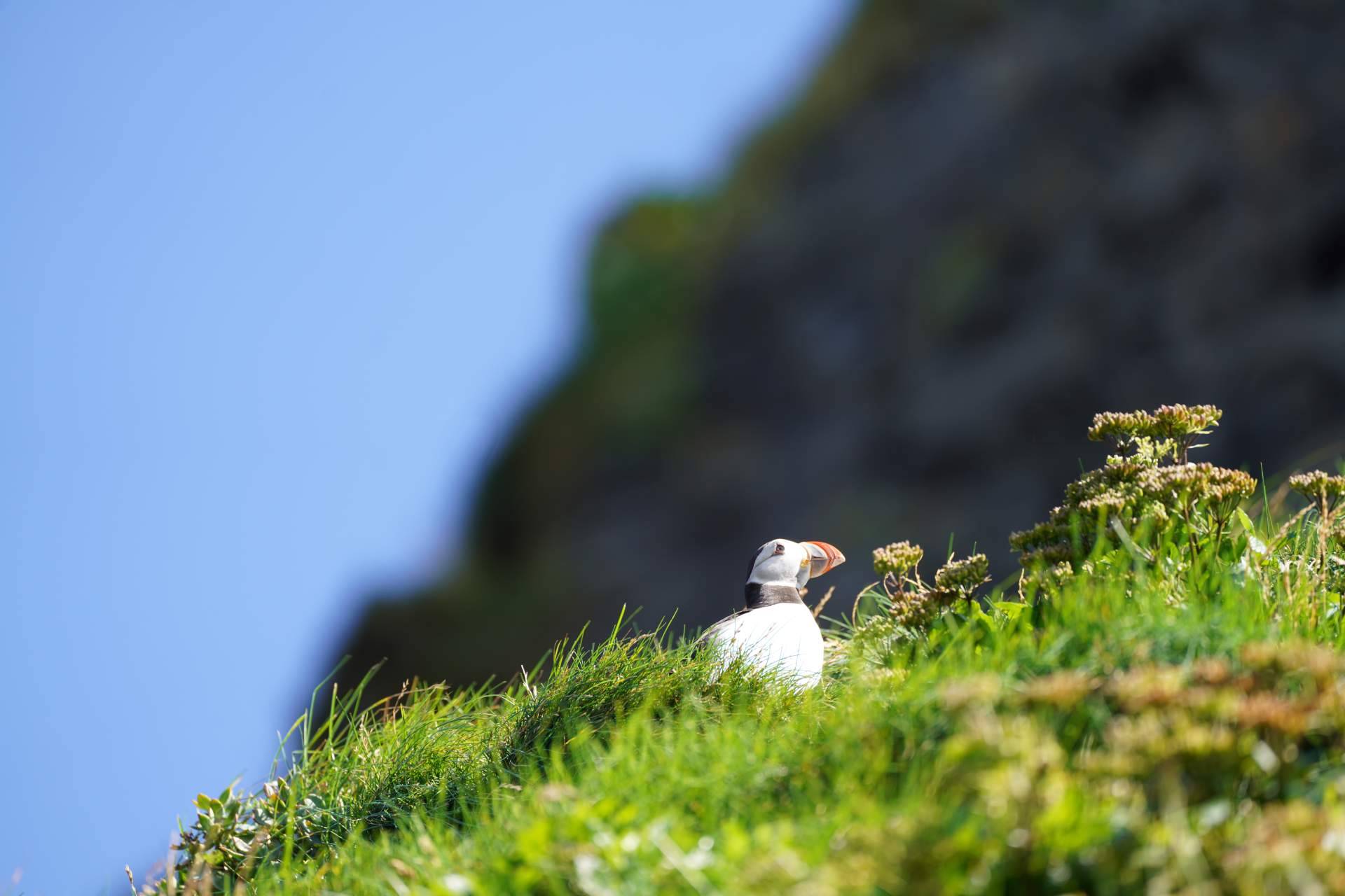 Viajes personalizados a Islandia con Aldu Experience