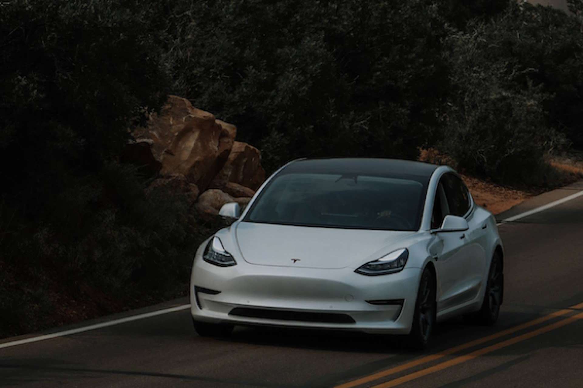 La conducción eléctrica premium con flota Tesla que está revolucionando el mercado, Future Drive