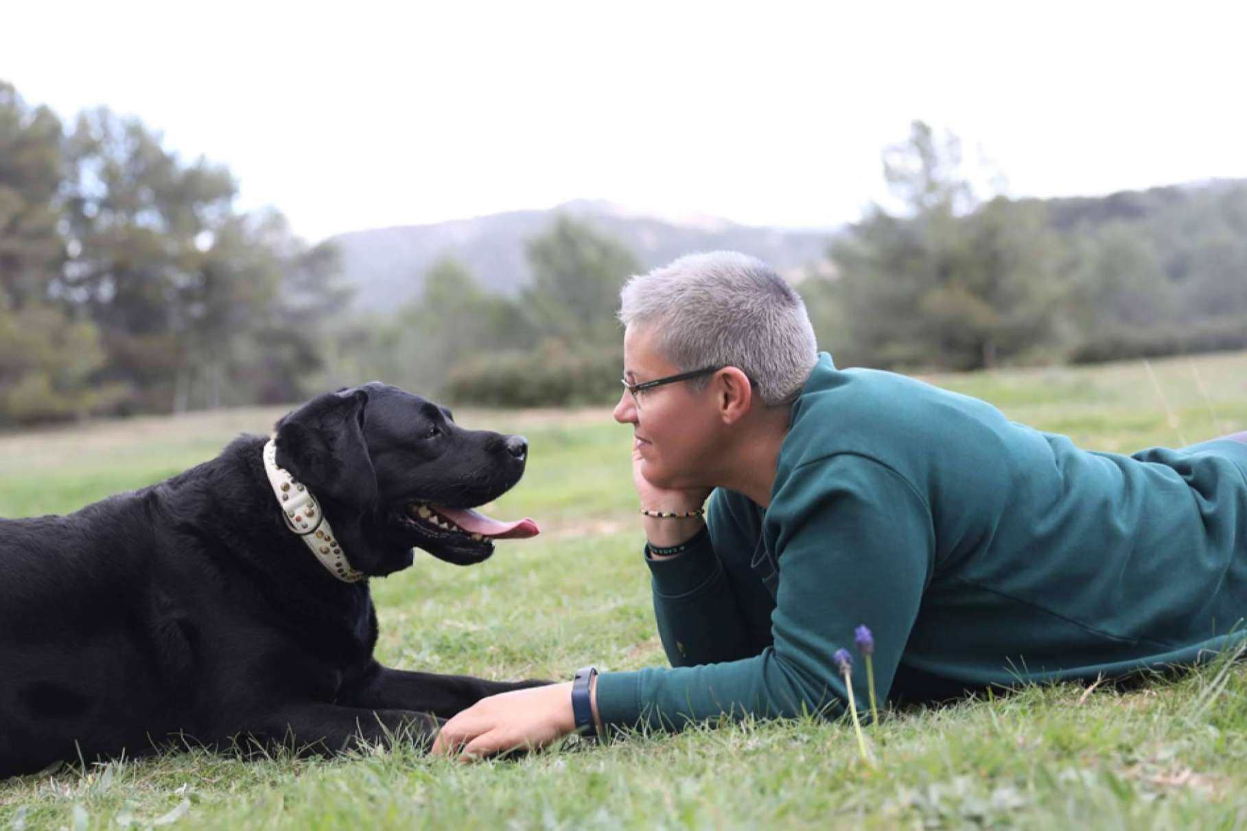 La relevancia de entender el lenguaje canino, por el Instituto Dog Coaching