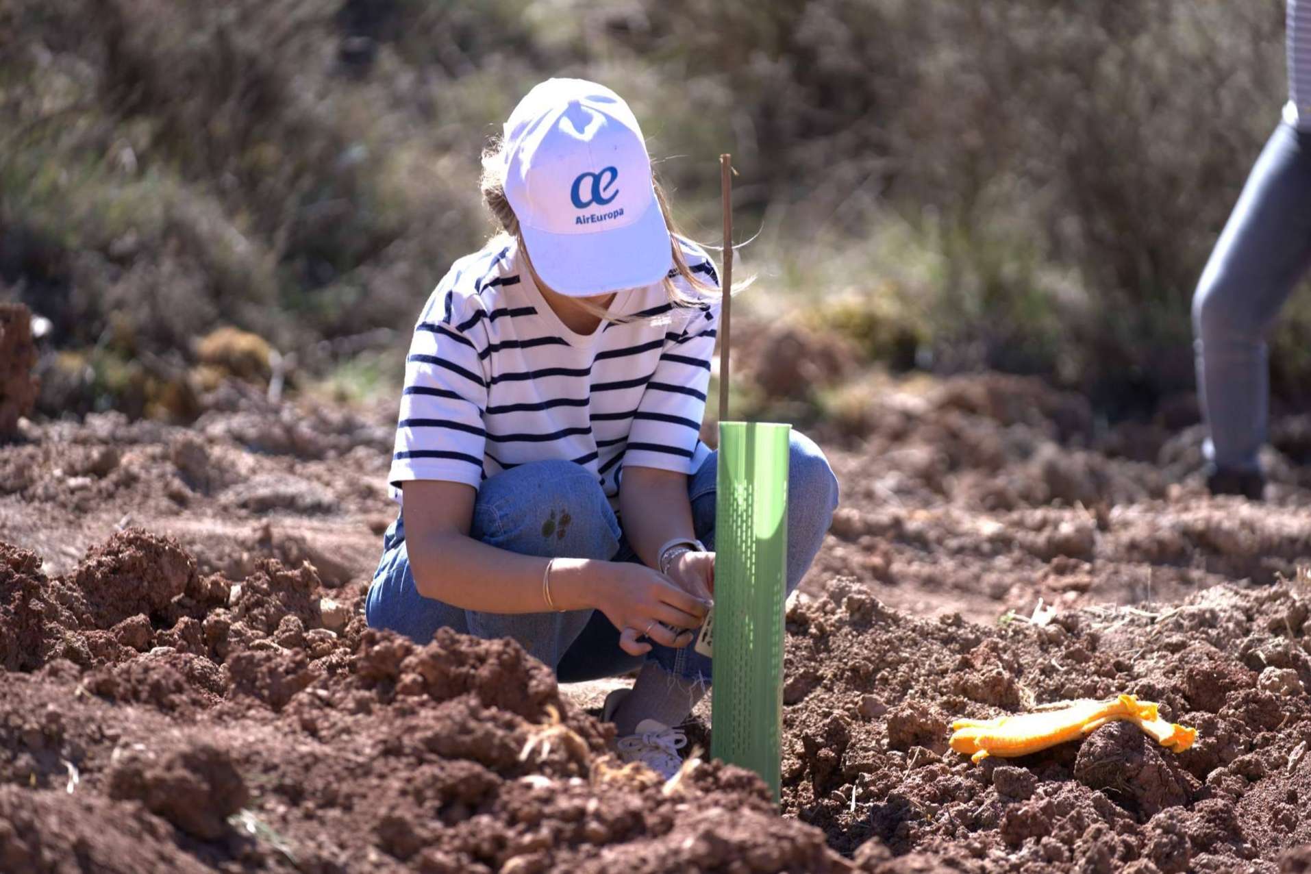 La creación de un nuevo bosque en el Parque Natural del Alto Tajo, por Air Europa y CO2 GESTIÓN