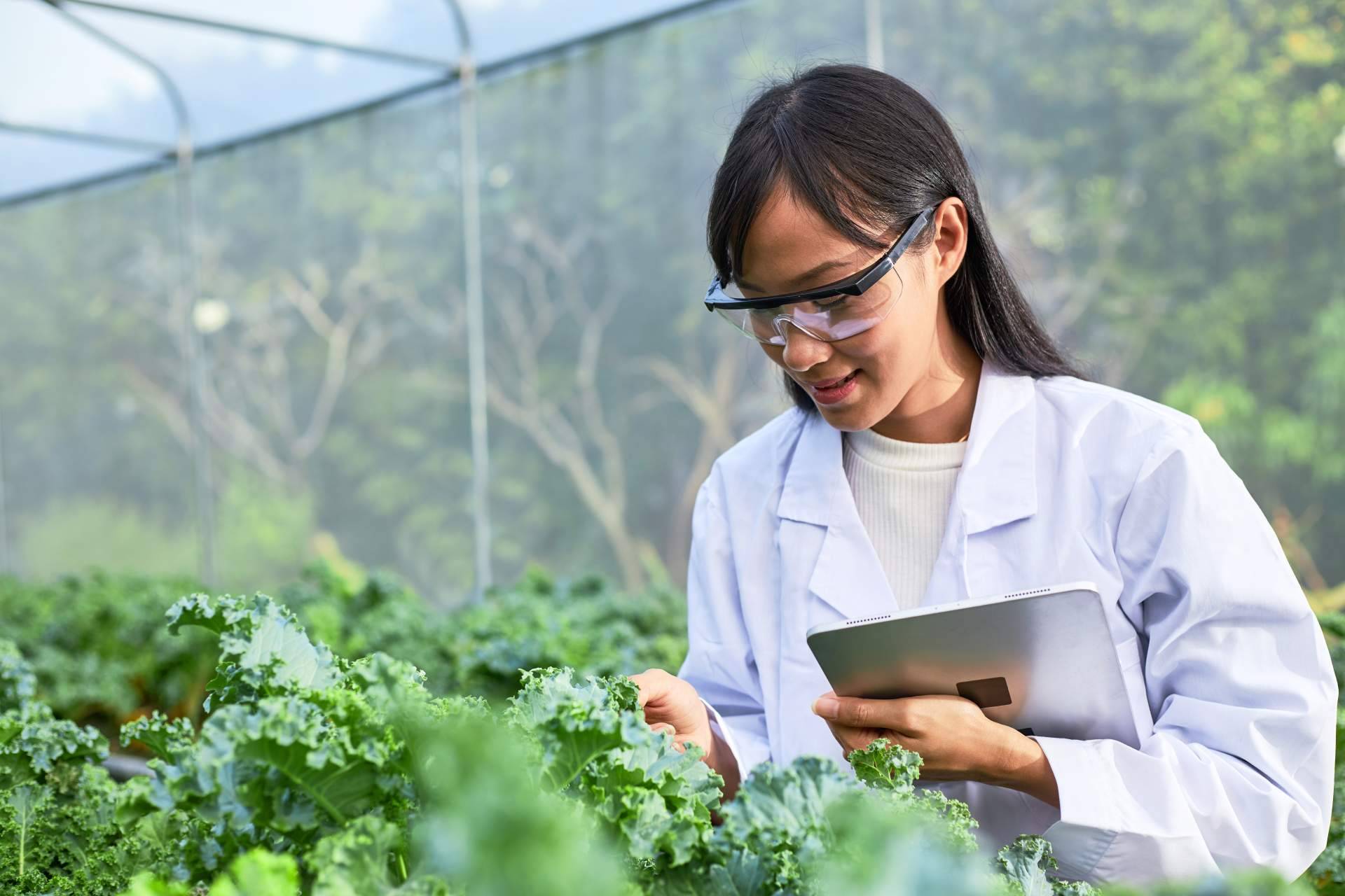 Fitovademécum, una plataforma de interés para el sector agrícola, ofrecida por Imeanticipa, una consultora especializada en inteligencia competitiva