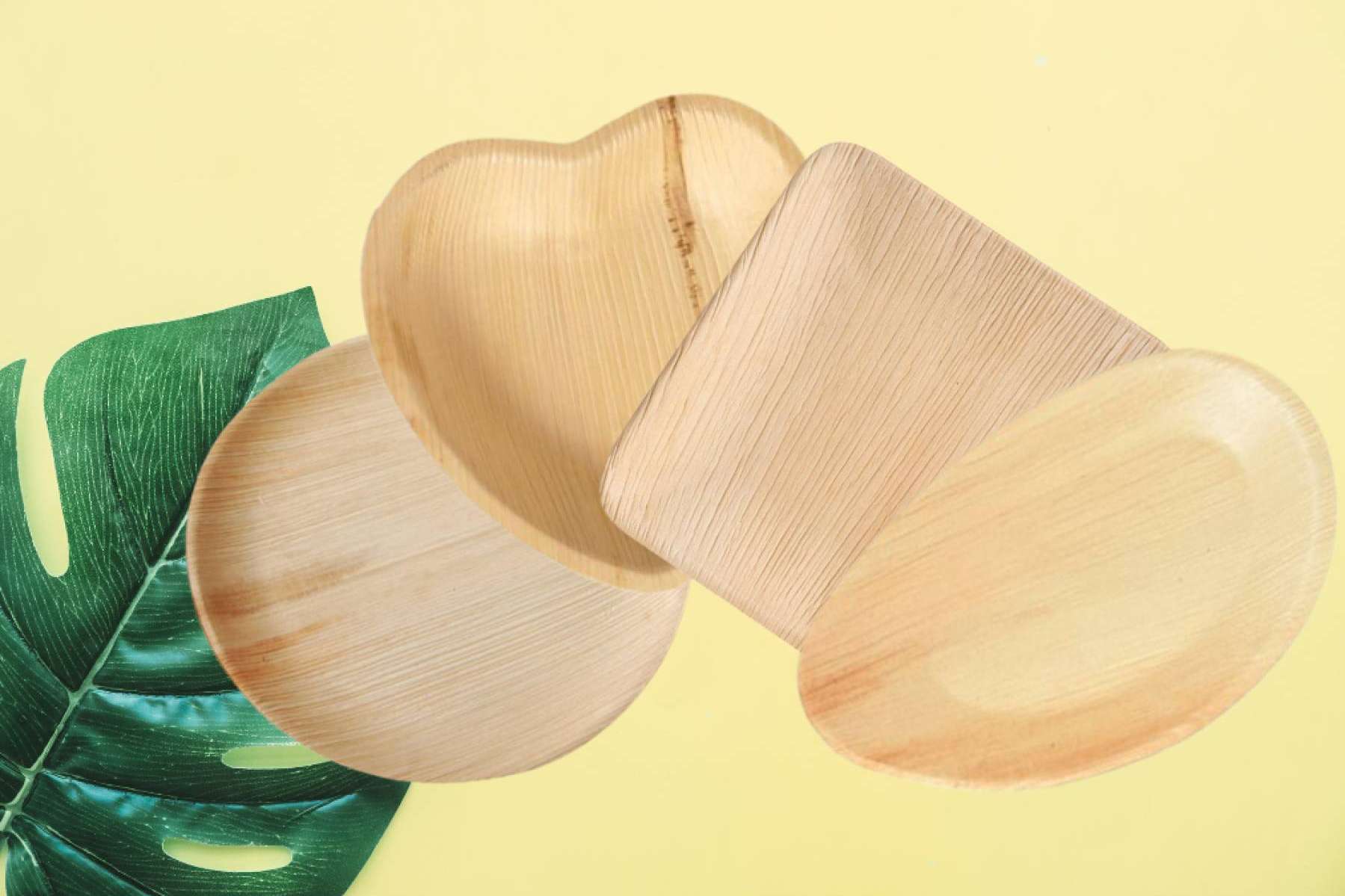 Vasomadrid y los principales beneficios de los platos hoja de palma