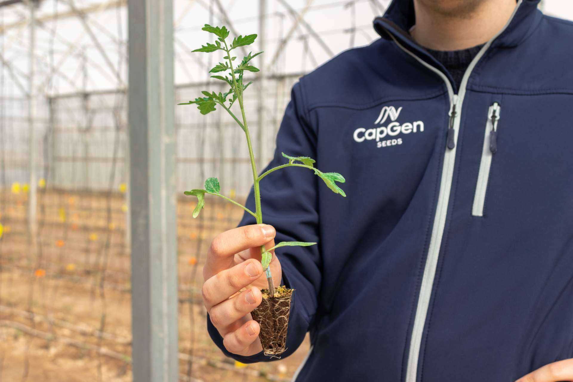 Investigación, desarrollo e innovación en semillas hortícolas, por CapGen Seeds