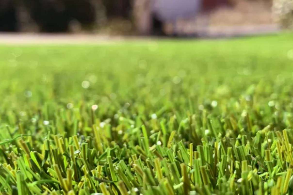 Mejorar el aspecto del jardín a la vez que se mejora el medioambiente, con Albergrass