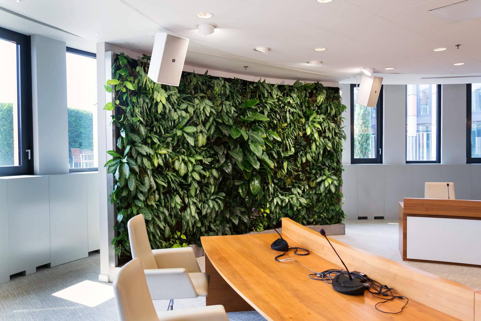 Los beneficios de las plantas de pared colgantes de JardinVertical.es