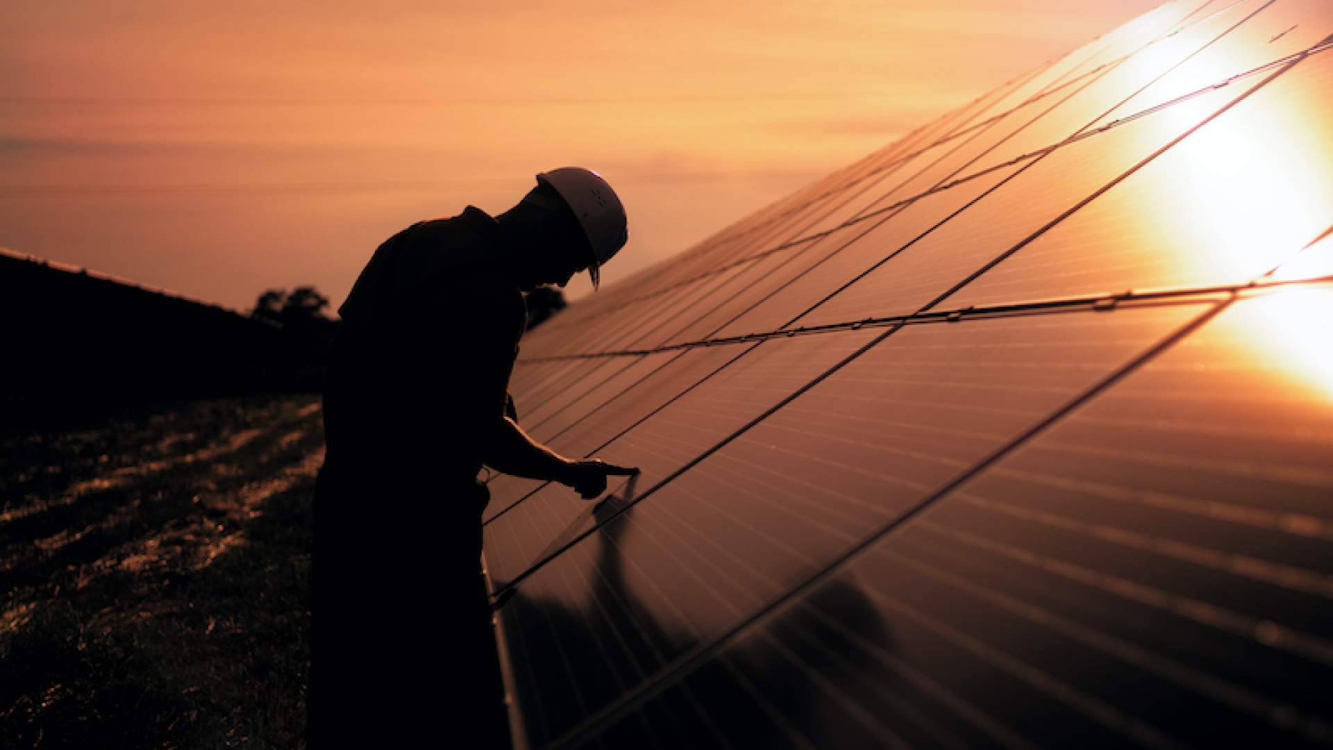 Cómo encontrar instaladores de placas solares de confianza, con Amagi Solar