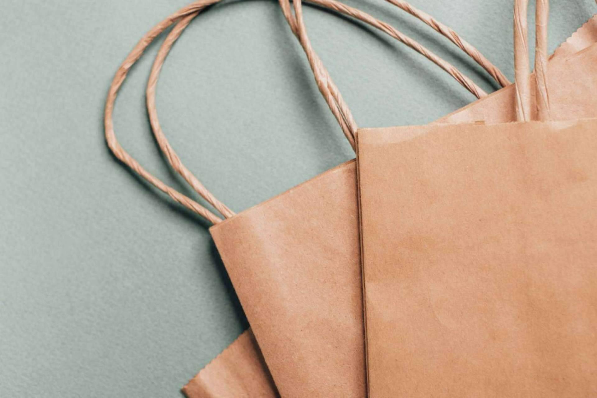 Ecobolsa, la fábrica de bolsas de papel que brinda a los negocios una alternativa publicitaria y ecoamigable