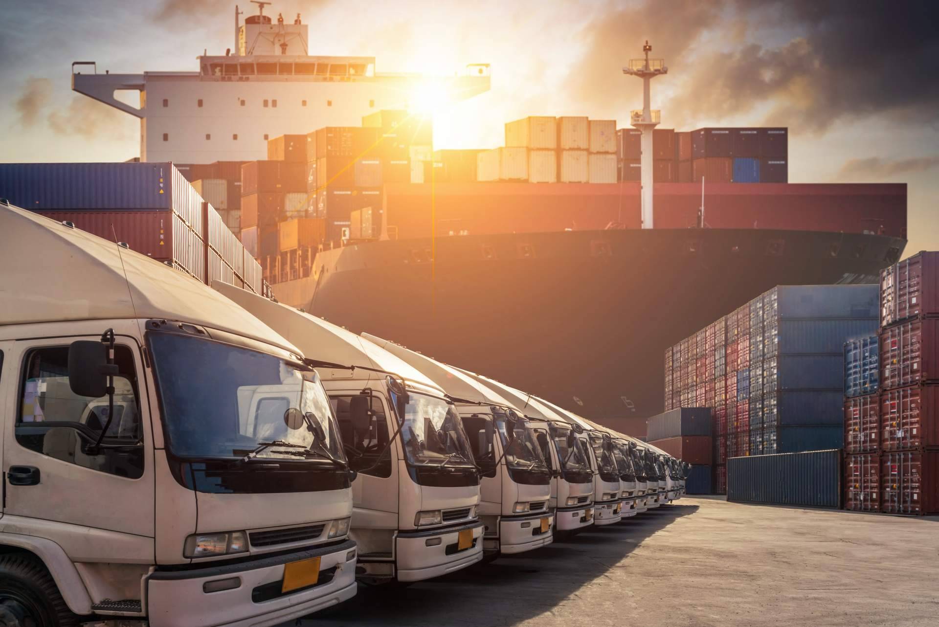 Servicio de transporte adecuado, tanto nacional como internacional, con Terra Logistika