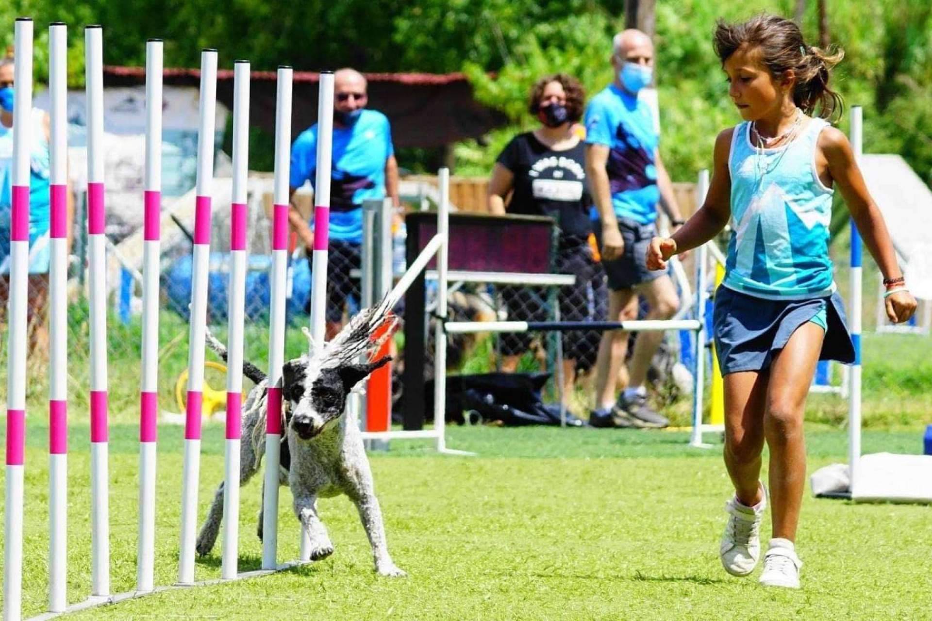 El club L’Almozara Can Bosc y sus clases de agility junior para niños a partir de 6 años
