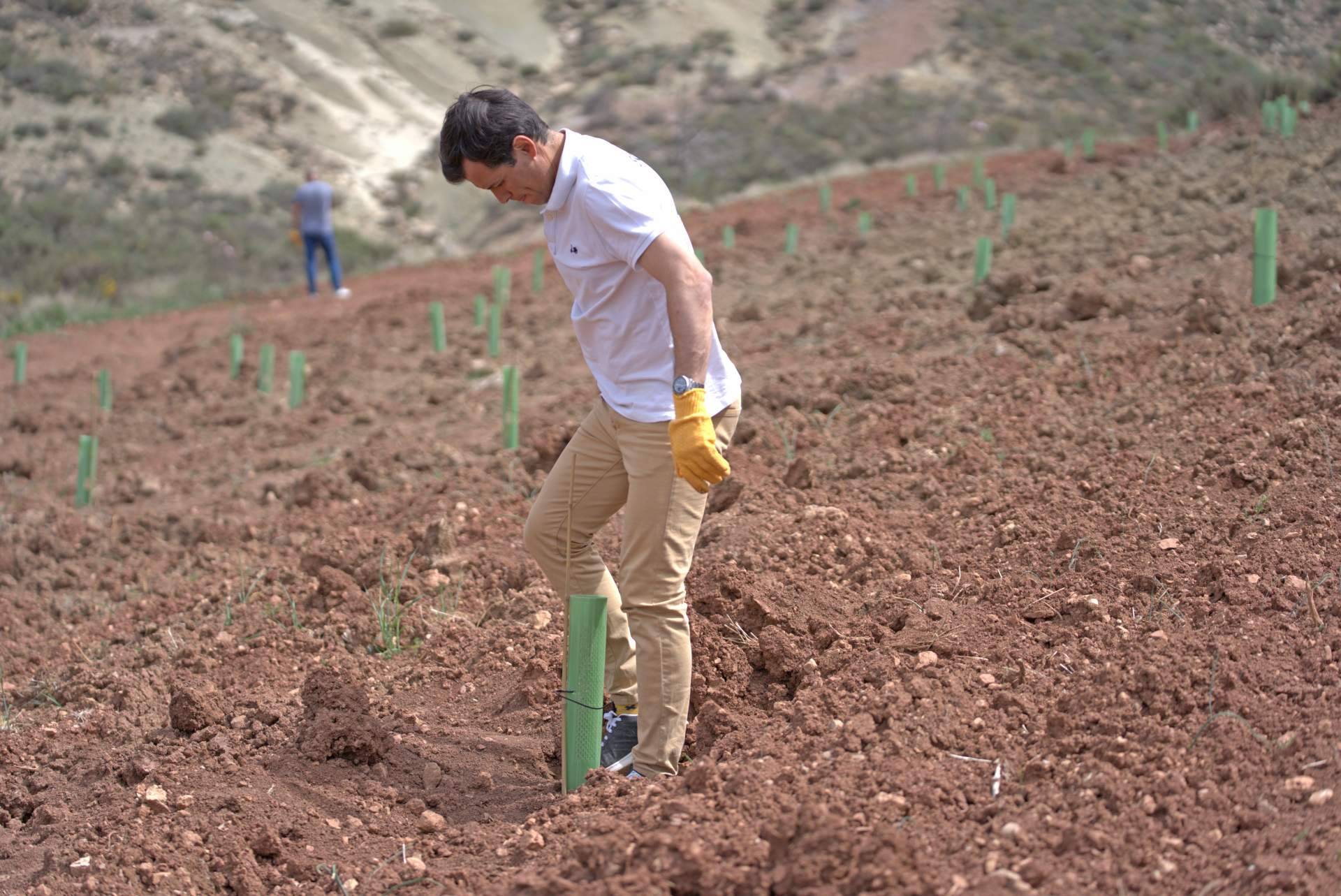 La iniciativa 'Juega tu papel', más comprometida que nunca en la creación de nuevos bosques