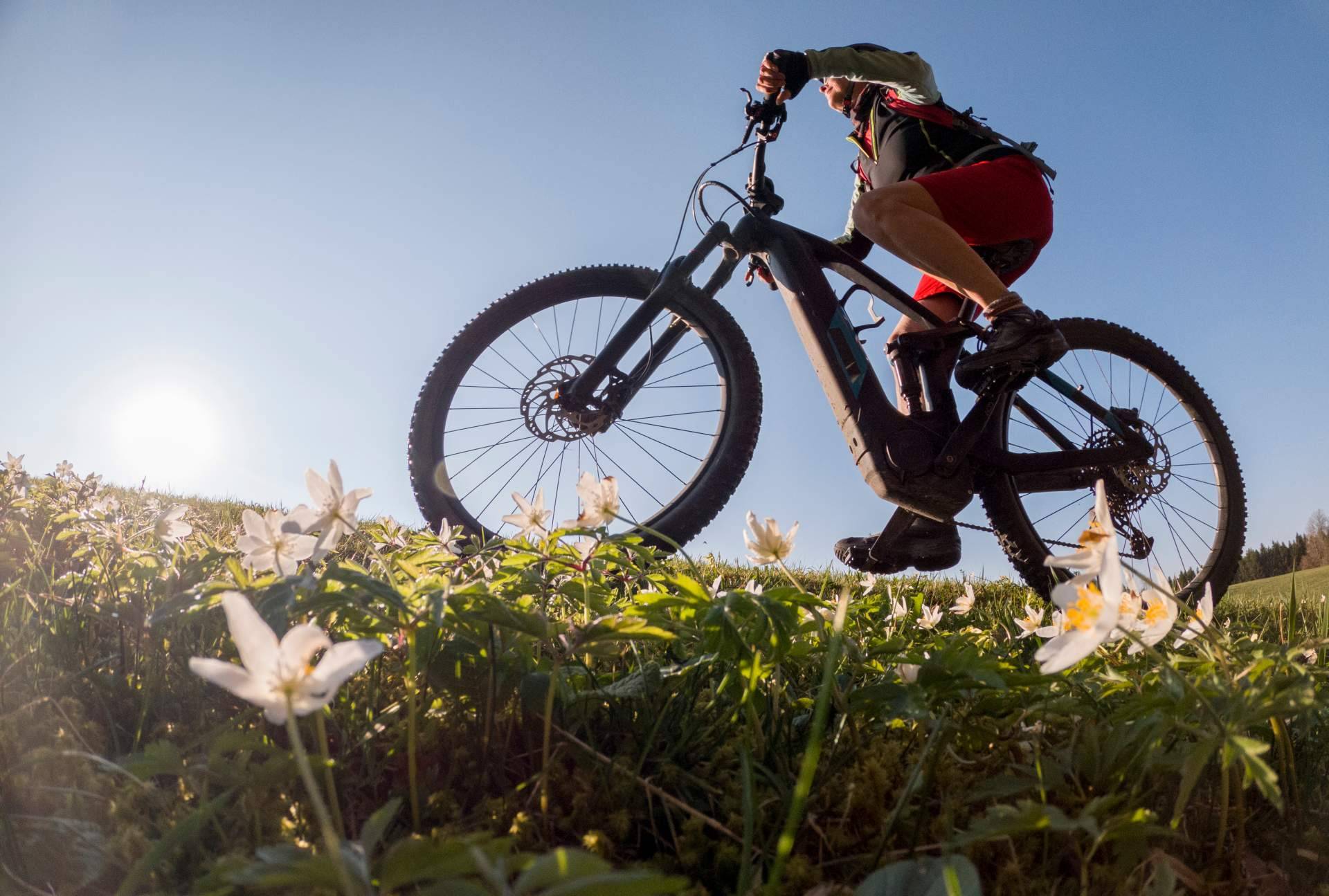 Iniciarse en bicicleta respetando el medioambiente de la mano de la e-bike de Zenith Aventura