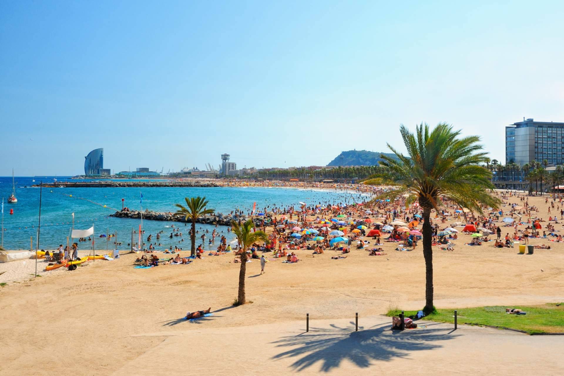 ¿Por qué son importantes las visitas a medida?, las propuestas de Barcelonina