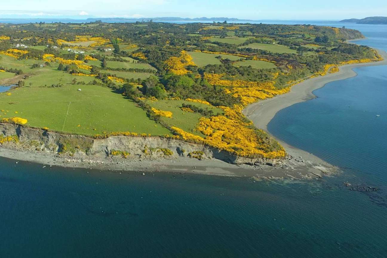Teletrabajar en medio de la naturaleza, una realidad que se puede vivir en Chiloé