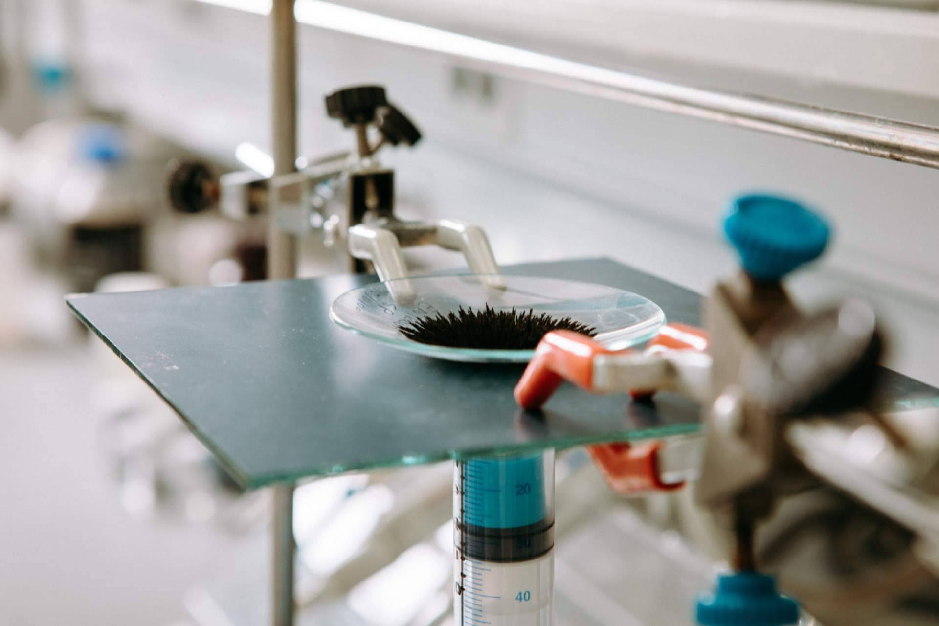Calpech enumera los beneficios ambientales y económicos de las nanopartículas de hierro