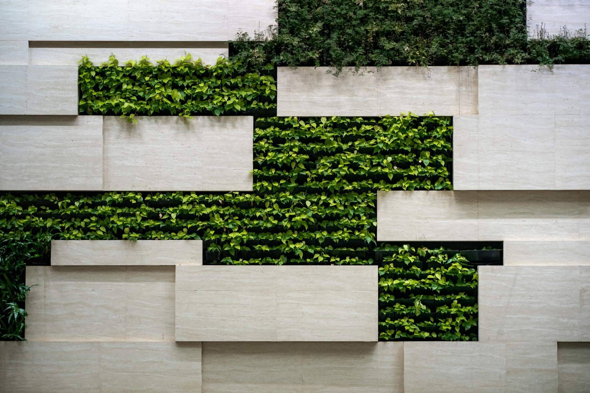 JardinVertical.es permite hacerse con un jardín vertical artificial en oferta