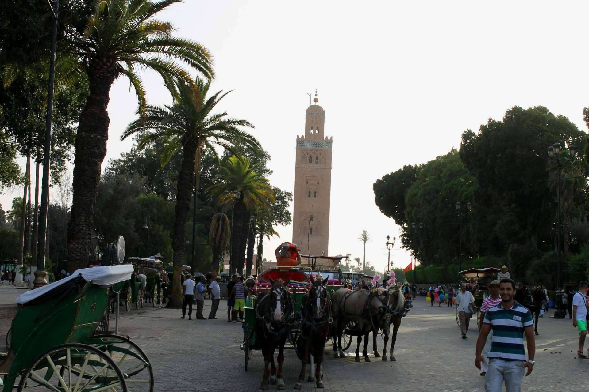 Ramlia Tours y sus circuitos todo incluido para descubrir Marruecos