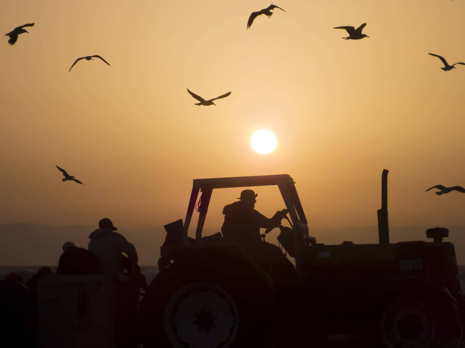 Maquinaria agrícola económica y de calidad con el Grupo Sesla
