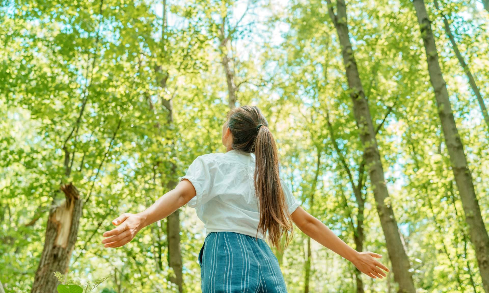 ¿Cuáles son los principales beneficios de tener un bioclimatizador?, por Biocool