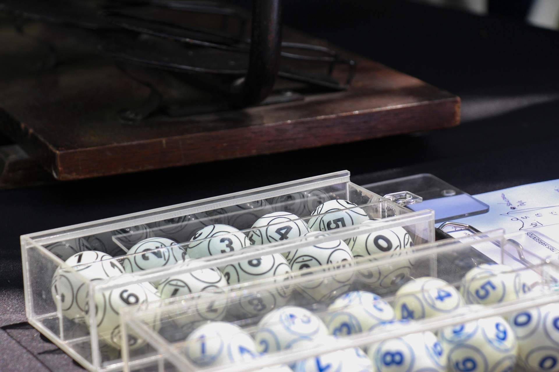 Conseguir uno de los más de 30.000 números disponibles en el buscador Lotería de Navidad de La Mágica