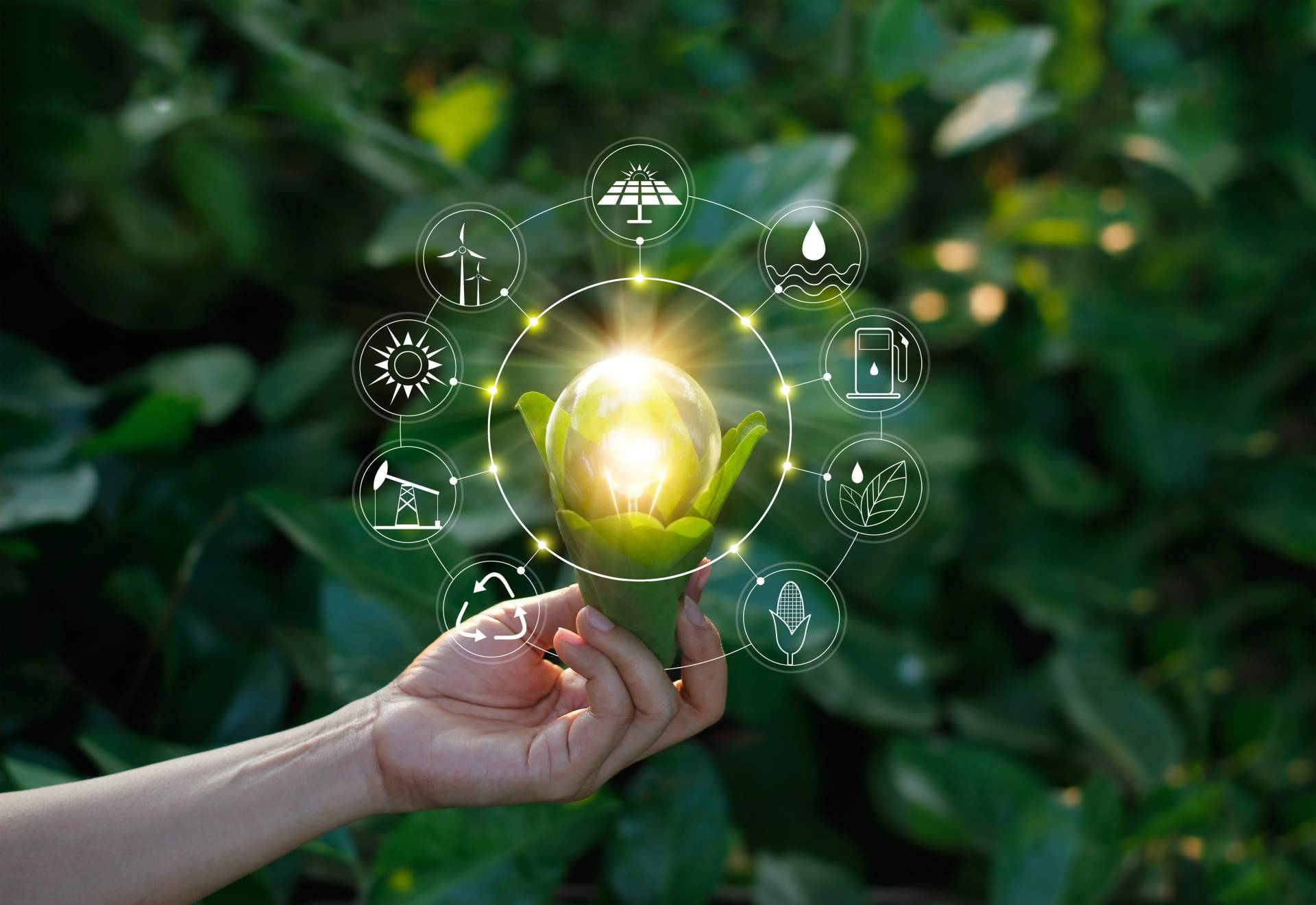 Hacia un futuro sostenible con Multienergía Verde