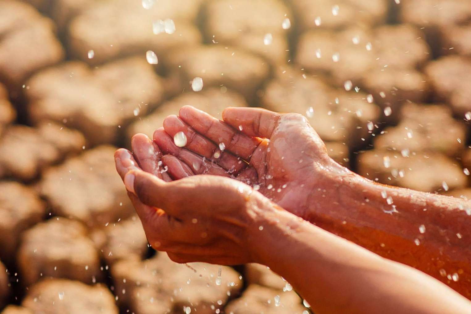 Pluvial y 3P Technik unen fuerzas para enfrentar la escasez de agua con el 3P Rainbow
