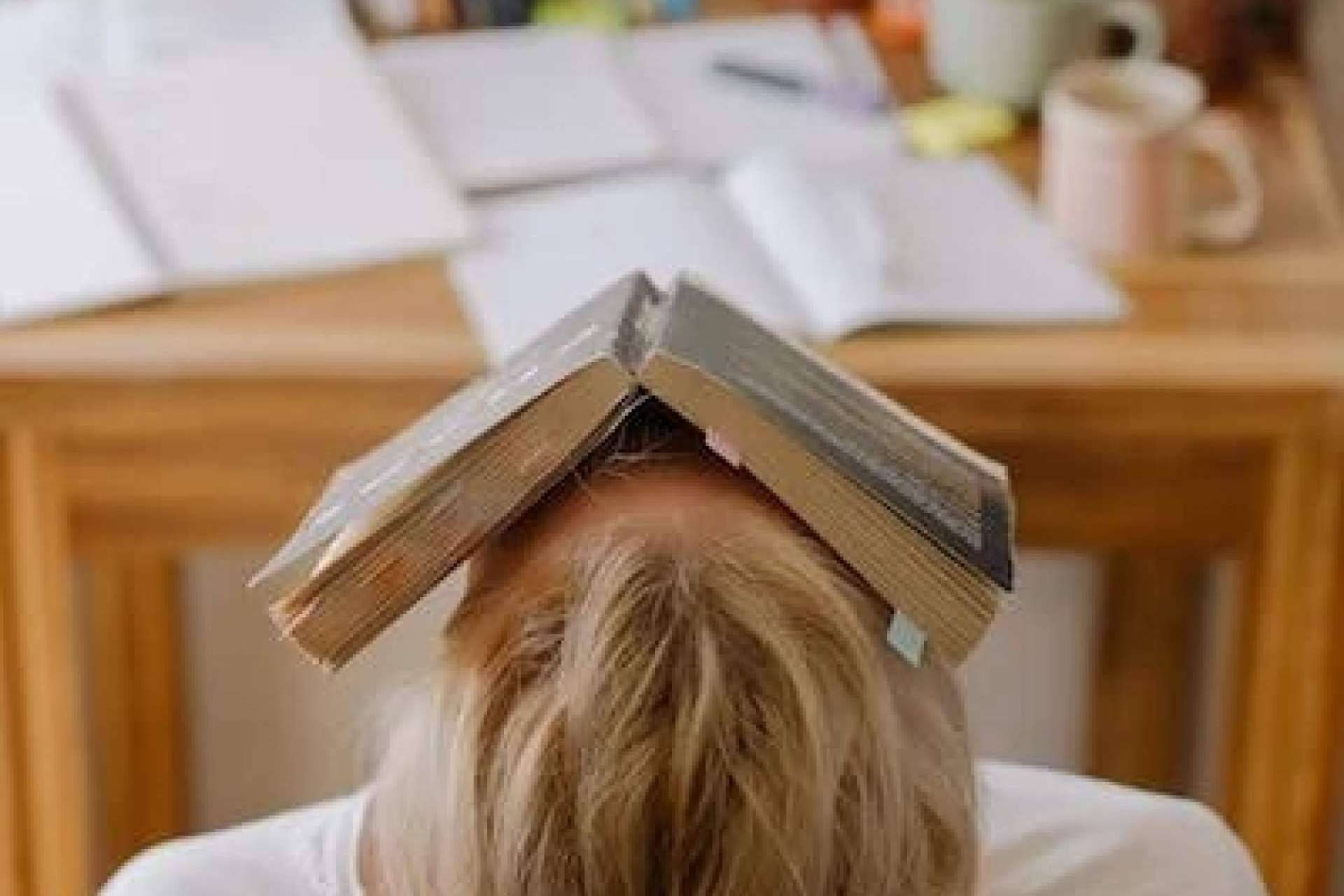 Pryectla, apoyo experto para la tesis y una investigación innovadora para terminar la tesis de posgrado