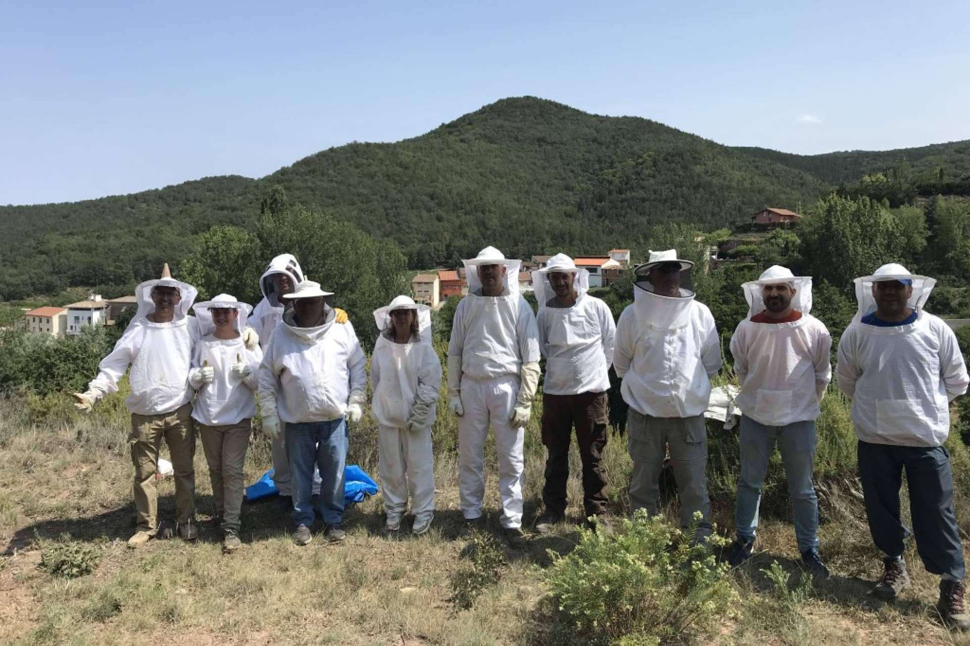 Las diferentes formaciones de Cursos Apicultura que ofrece para adentrarse en el mundo de las abejas