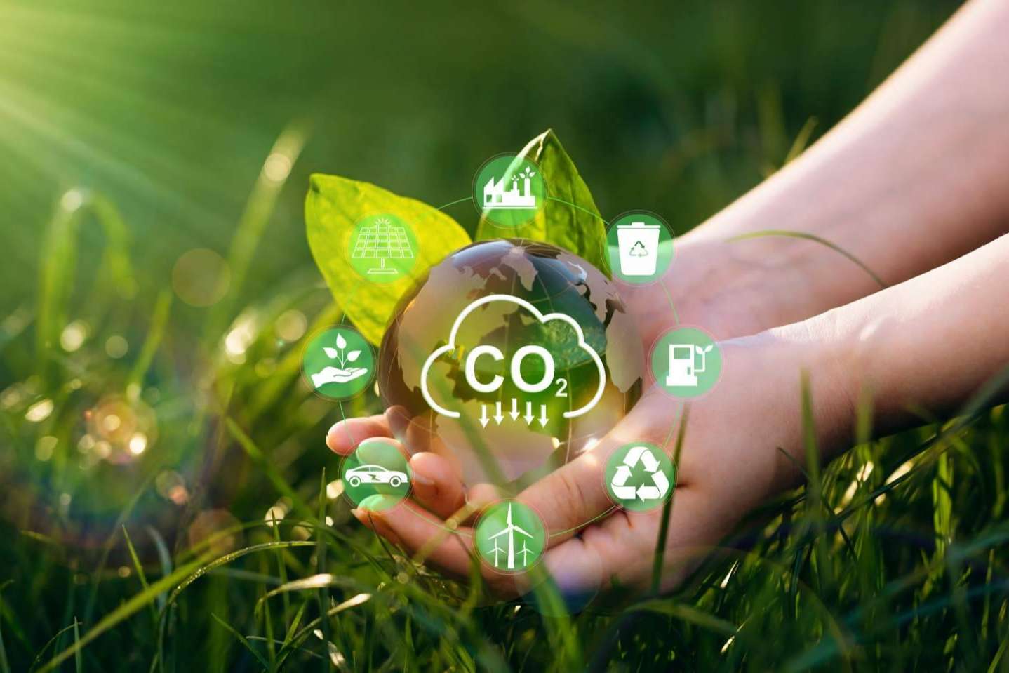 Reducir la huella de carbono en las empresas con plataformas como ESGeo
