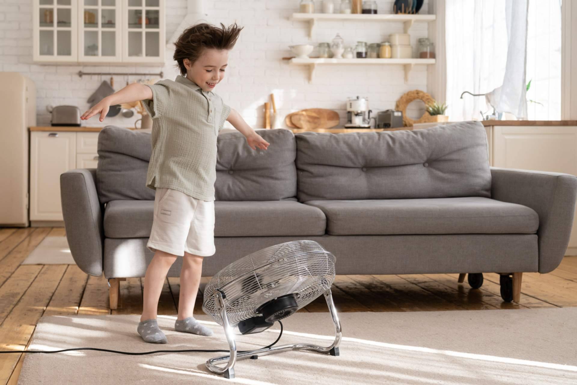 El amplio catálogo de ventiladores de techo de Latiendadeelectricidad.com