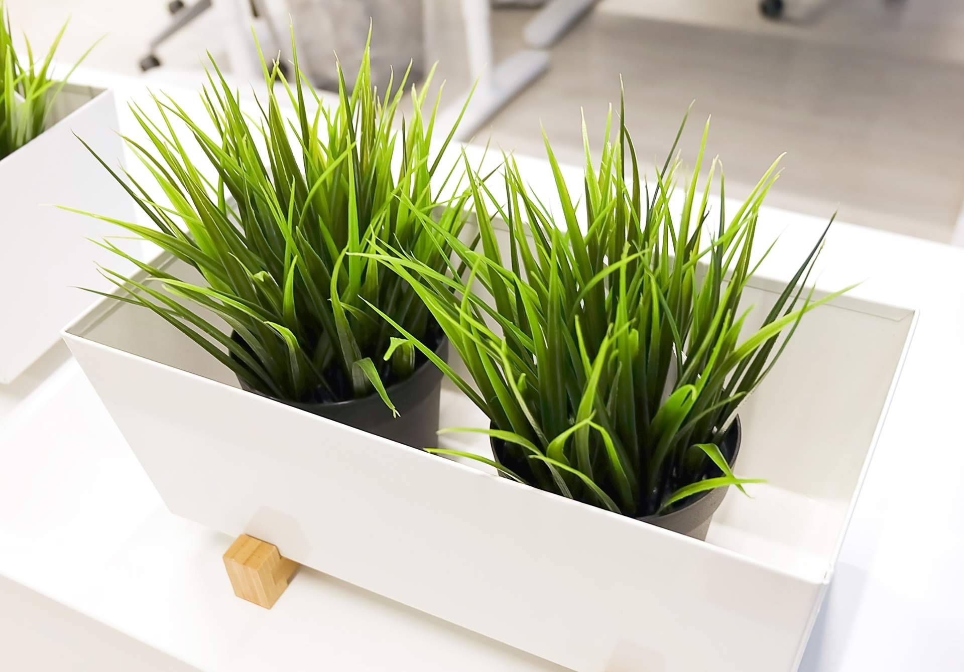 JardínVertical.es cuenta con un catálogo con más de 20 opciones en plantas artificiales realistas