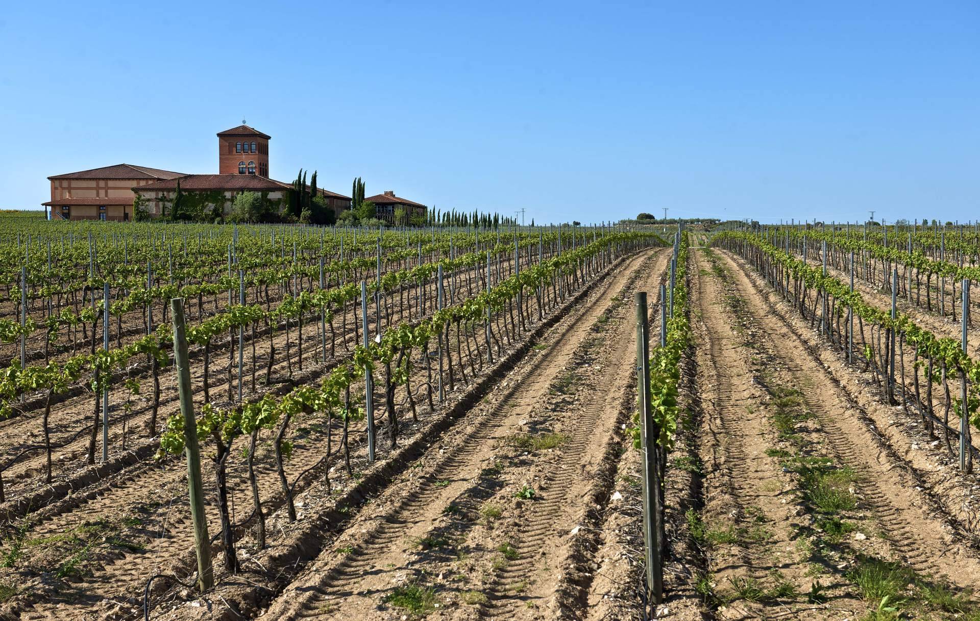 El vino de lujo de los Arribes del Duero, Hacienda Zorita, llega a Salamanca en exclusiva con Comercial de Vinos Acera