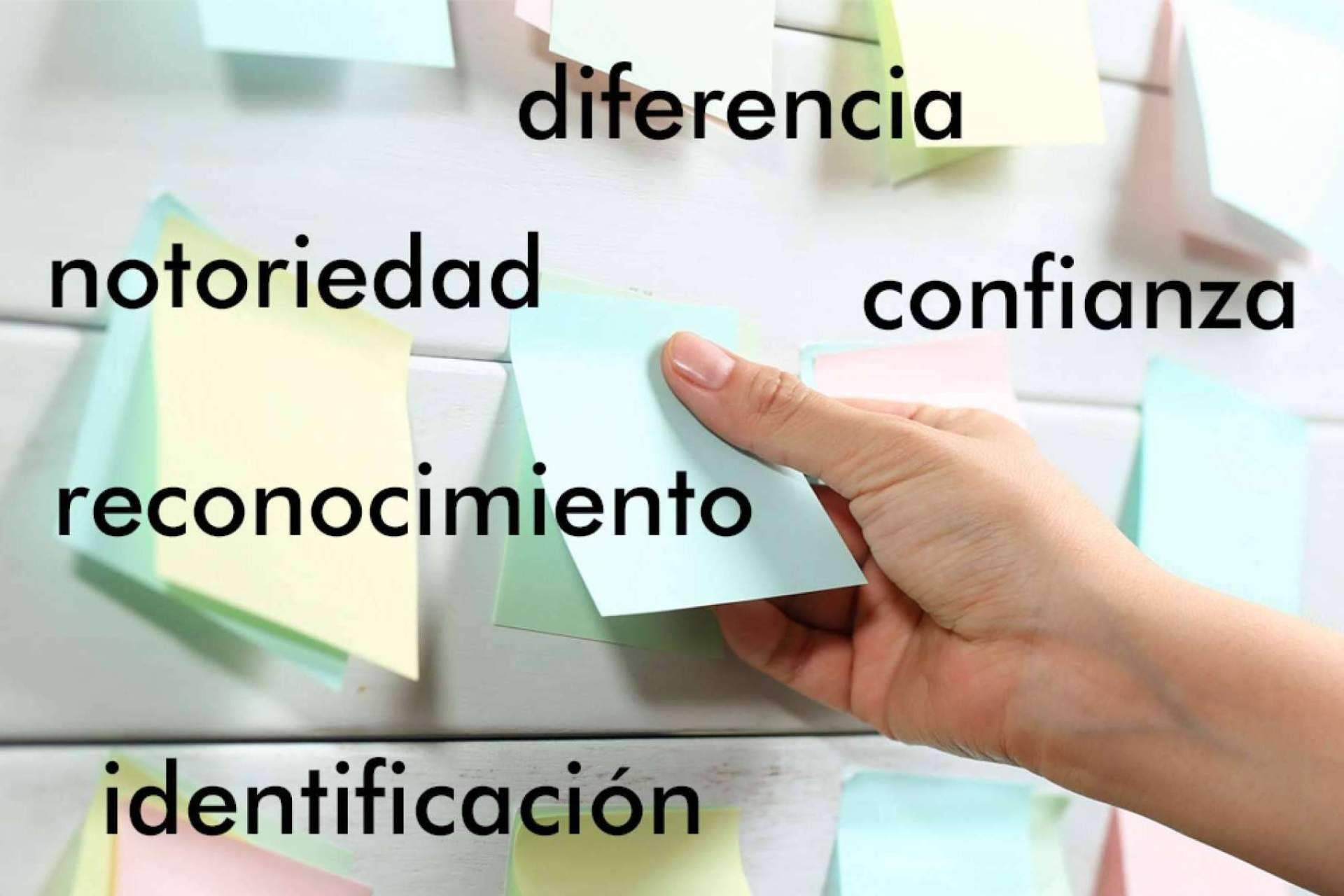 adn studio, el equipo de expertos en creación de Naming
