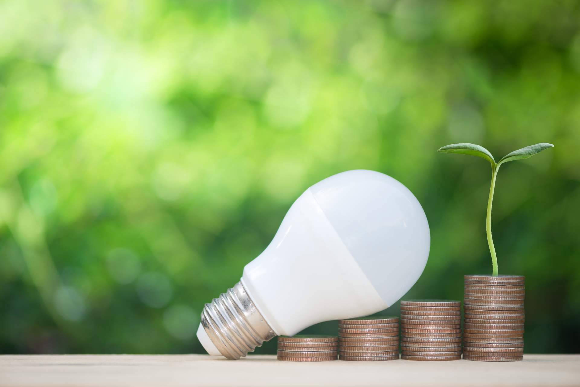 La importancia de impulsar el ahorro energético