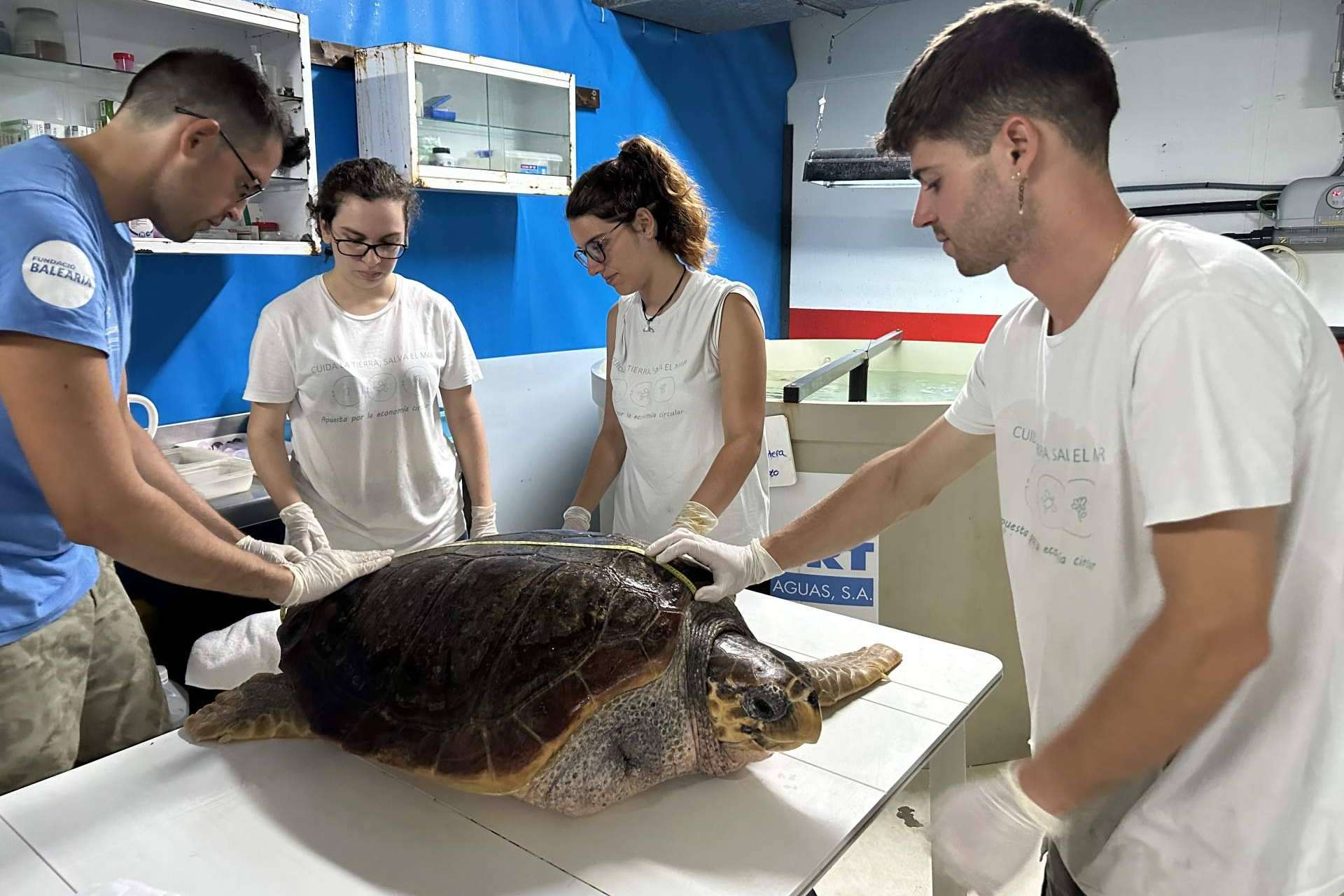 Compromiso educativo y medioambiental de Palma Aquarium en Mallorca